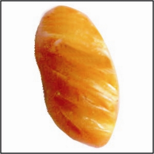 B45/0228 – Pãozinho – 3cm x 1,5cm(22)