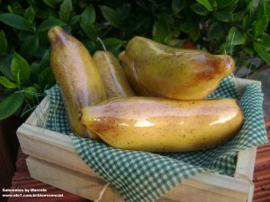 BANANA INTEIRA BIO